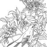 Plus, it's an easy way to celebrate each season or special holidays. Mockingbird Coloring Pages For Kids Color Luna