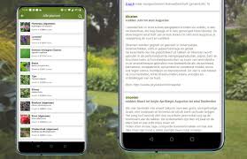 Onderdompelen of water geven via de schotel. De Beste Planten App Voor Mensen Zonder Groene Vingers 4 Fijne Opties