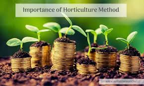 Importance Of Horticulture Method Organic Fruits And Vegetables Agriculture Business Grow Gorgeous