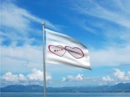 • set the hoist side and flag orientation. Animate A Flag