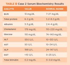 Renal function studies normal lab values. Liver Enzyme Interpretation And Liver Function Tests Today S Veterinary Practice