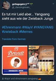 Yangyang Meme Ehrenmann Https Twitter Com Dancinginrain Status 1140614279563022336 S 19 In 2020 Memes Yang Yang Lustige Bilder