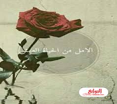 كلام جميل عن الحياة والامل 2020 Plants