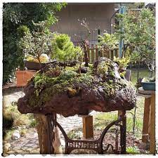 B38/h20/t35 cm kaufen im onlineshop von dehner bereichern sie ihre gartendeko mit diesem lavastein zum bepflanzen hervorragend eignen sich dafür z. Bonsaigarten Auf Lavastein Austenweb