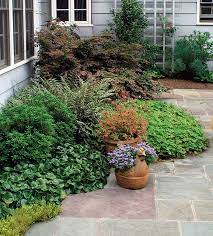 By arbor day foundation | september 3, 2019 the best way to spruce up your space and add life to your yard is by planting trees and shrubs. A Fresh Approach To Foundation Plantings Finegardening