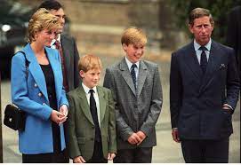 Prince william and prince harry have had a long time to get used to camilla. The Way Diana Told William About Charles S Affair With Camilla Will Break You Her Ie