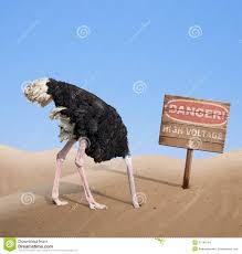 Scared Ostrich Burying Head In Sand Under Danger Stock Photo ...