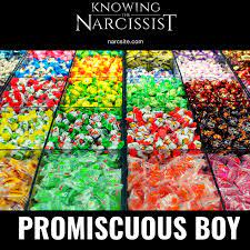 Promiscuous Boy In 2020 Narcissist Promiscuous Me As A Girlfriend