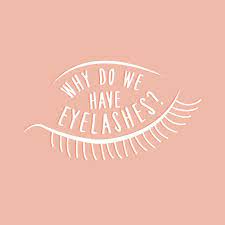 Our Eyelashes Protect Our Eyes From Dirt And Dust And They Help To Shield Them From The Bright Light Of The Sun But Tha Eye Facts Eye Health Facts Vision Eye