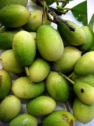 Image result for Ximenia