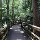 Highlands Hammock State Park: A look at natural event image
