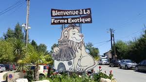 Croquette, complètements alimentaires, aliments médicalisés, gamelle, brosses. Au Milieu Des Animaux De La Ferme Genial Avis De Voyageurs Sur La Ferme Exotique Cadaujac Tripadvisor