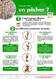 Epingle Sur Taille Des Arbres