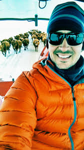 Stephen Bodio's Querencia: January 2017