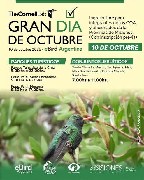 Misiones se suma al Gran D�a de Observaci�n de Aves 2026 - Norte Misionero