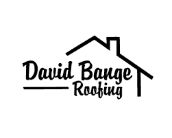 Paul bange roofing of south florida provides reliable roofing contractions in palm beach. Dbr P1093841 Logo Design Contest Logo Arena