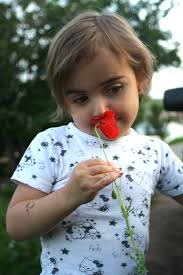 F.C.Photography (@FlamurCaniPhotography) • Facebook