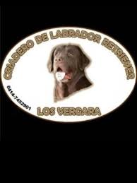 erasmo vergara (@erasmovergara)