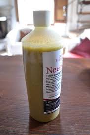 In the garden, neem oil boasts a powerful insecticidal ingredient, azadirachtin, which makes it a great organic choice for controlling a variety of problems. How To Use Neem Oil In A Sprayer For The Garden