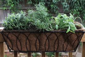 Online shopping for window boxes from a great selection at patio, lawn & garden store. Using Drought Tolerant Perennials In Your Container Herb Garden Drought Tolerant Perennials Container Herb Garden Patio Herb Garden