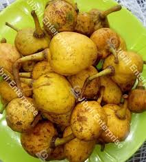 Image result for Annona senegalensis