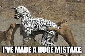 I Ve Made A Huge Mistake Ive Made A Huge Mistake Zebra Costume Quickmeme