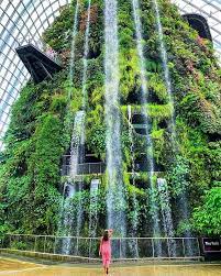 Cloud Forest Singapore Cloud Forest Singapore Jetset For Good Travel Couple Singapore Travel Inspiration
