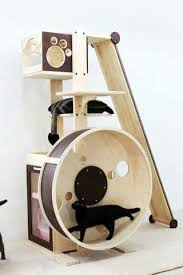 Cute Cat Bed And Cat House In 2020 Diy Cat Tree Cat Furniture Cat Exercise