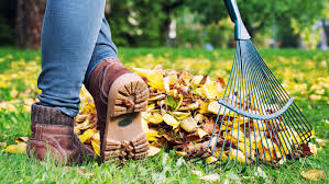 14 jahre alt und etwa 4 meter hoch. Gartenarbeit Im Herbst Checkliste Der Wichtigsten Aufgaben Wetter De