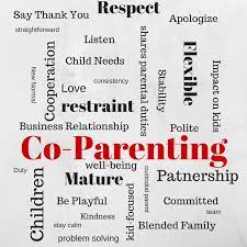 Becoming a parent enters you into a completely new and sometimes overwhelming world. Co Parenting In A Pandemic 10 Things To Watch Out For Law Offices Of Molly B Kenny