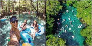 Maybe you would like to learn more about one of these? 6 Natural Lazy Rivers In Florida That Are The Perfect Day Trip Narcity