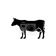 Maybe you would like to learn more about one of these? Vector Kuh Silhouette Ansicht Seite Fur Retro Logos Embleme Fototapete Fototapeten Schlachten Abzeichen Rindfleisch Myloview De
