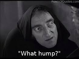  Funny Young Frankenstein Quotes Young Frankenstein Frankenstein Quotes Funny Horror