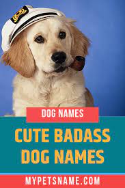 Cute Badass Dog Names Dog Names Beautiful Dog Names Cool Pet Names