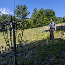 Image result for disc golf