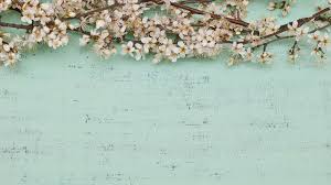 The french drama 'passion simple' (an industry selects feature playing the 45th toronto international film festival) is the portrait of a woman who keeps romantic love at arm's length, even if her ephemeral trysts slowly preoccupies more and more of her life. Simple Background Backgrounds Design Template 1585820