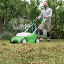 Rasen Vertikutieren In 2021