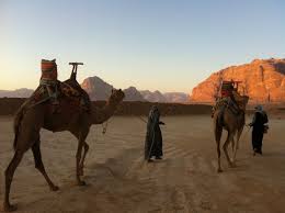Camel racing is a tradition in jordan. Sunrise Camel Ride Snorkeling In Aqaba Jordan
