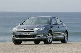 Image result for Brun Guaranja 2011 Citroen