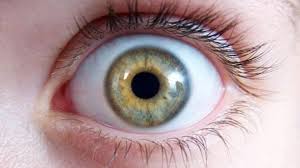 Yatmadan Once Alin Sabah Uyandiginizda Gormenizin 80 Geri Kazanacaksiniz Sifali Tarifler 2020 Saglik Urunleri Gozler Geleneksel Cin Tibbi