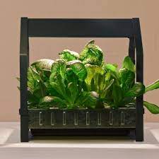 Get nine 2 inch net cups, 1/2 inch vinyl tubing, hydroponic nutrients, ph control kit, and smart plug. Ikea Wants To Put A Hydroponic Garden In Every Home Kitchen Eater