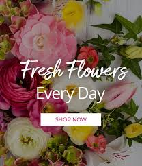 When the sad occasion comes and it is time to send flowers to a funeral home, no one wants to be bothered with more details. Toronto Florist Flower Delivery Toronto Ontario Flower Shop Flowers Of The World