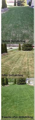 Check spelling or type a new query. De Thatching Lawn And Landscape Lawn Maintenance Lawn Care