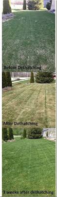 Looking for thatching your lawn? De Thatching Lawn And Landscape Lawn Yard Work