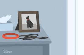 Check spelling or type a new query. Mourning The Loss Of Your Pet