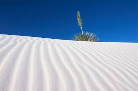 With willem dafoe, mary elizabeth mastrantonio, mickey rourke, samuel l. White Sands National Monument Der Westen Der Usa Usa