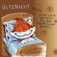 Jeder morgen ist wundervoll und magisch. Suss Und Lustig Gute Nacht Bilder Fur Whatsapp