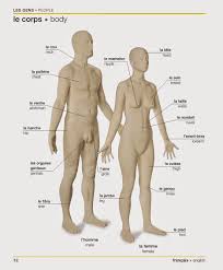 Make sure to check out french clothing vocabulary and learn how to describe what you put on your body! French For Newbies Parler Francais Apprendre L Anglais Le Corps