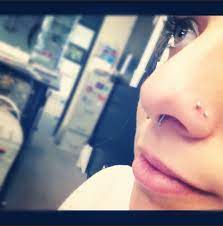 Double Nose Piercing And Septum Piercing Double Nose Piercing Nose Piercing Cute Piercings