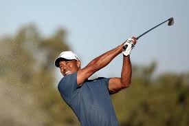 Tiger Drawing On History Of Success At Torrey Tiger Woods Torrey Farmers Insurance